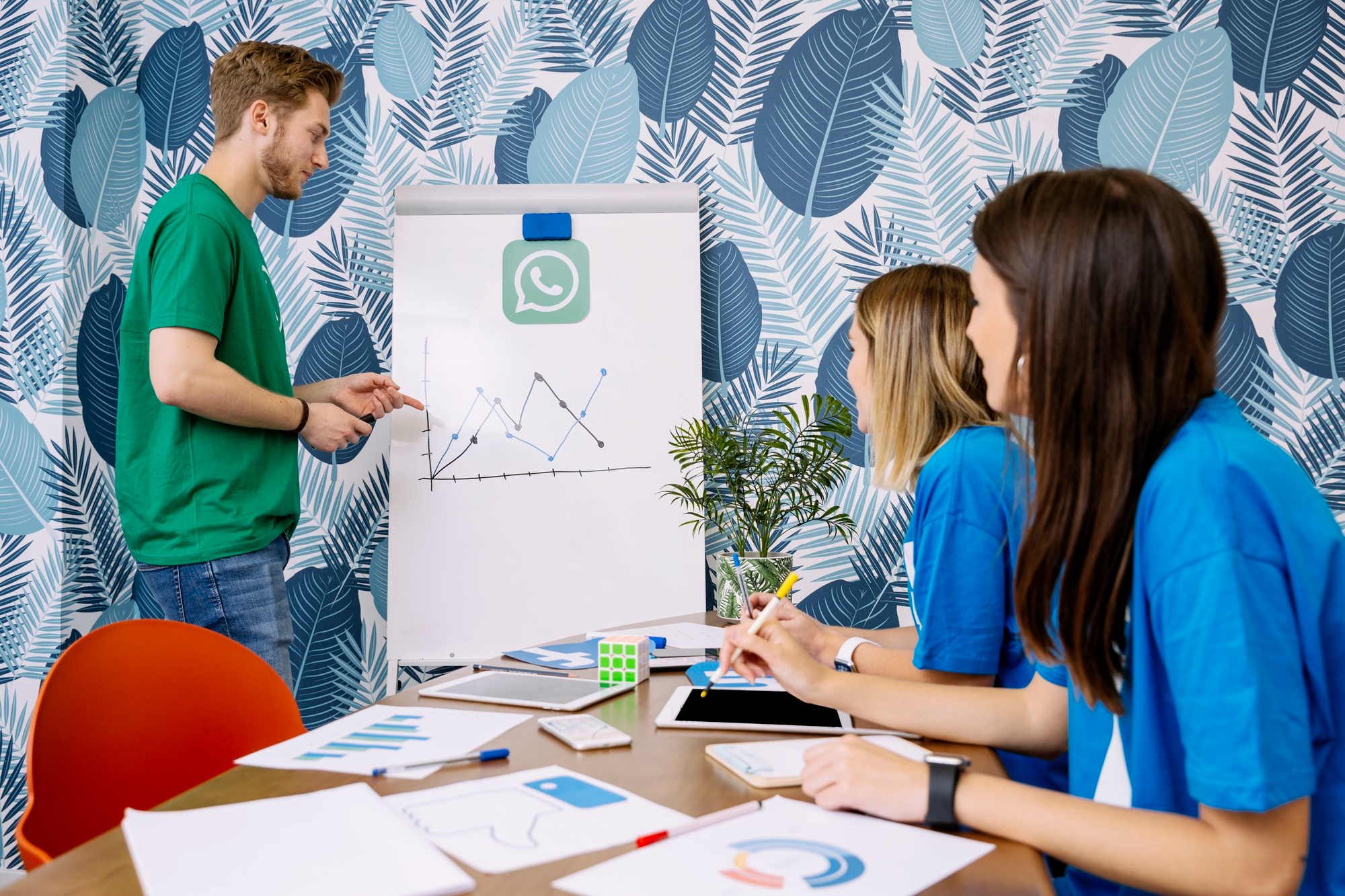 Digital Marketing Agency in Ambala
